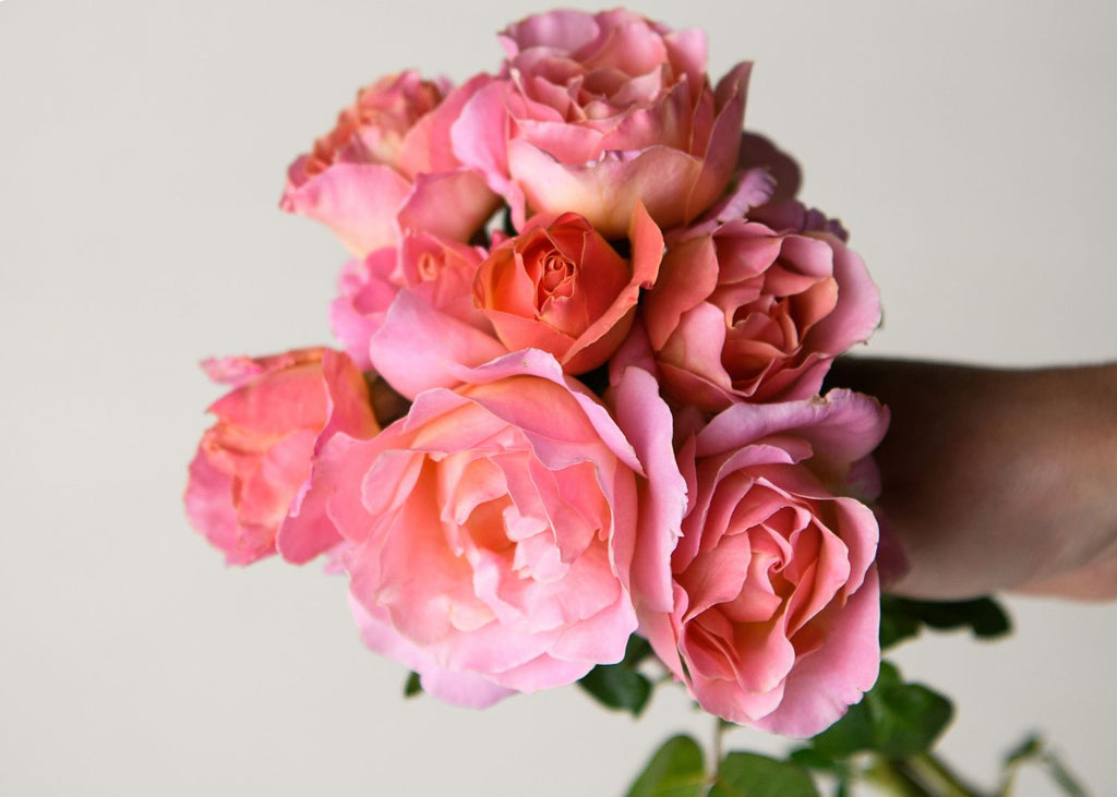 Elle Garden Rose