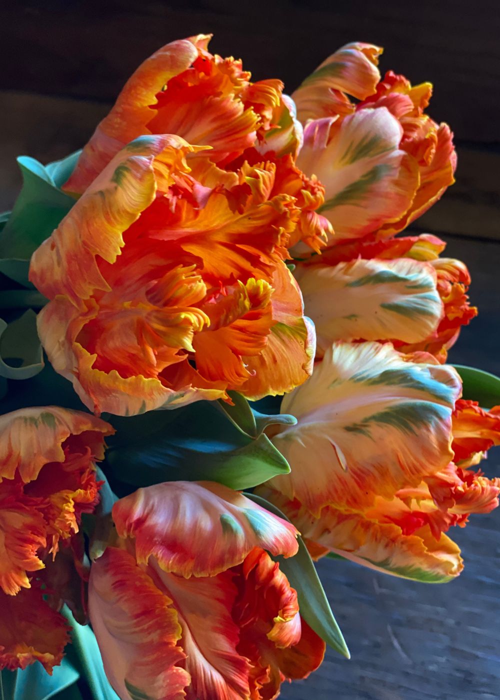 Pre-Cooled Monarch Parrot Tulip Bulbs - Menagerie Farm  Flower product image