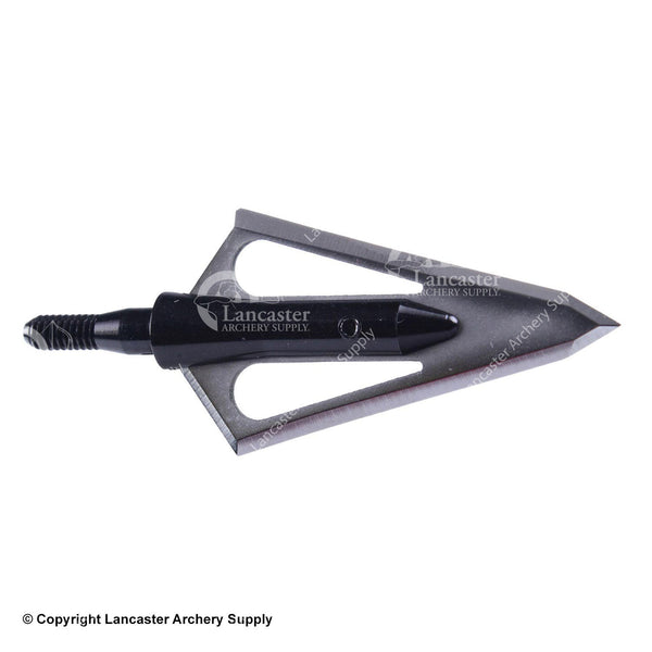 Fishing Tips Broadheads 2 Blades Broadhead - China Broadhead and Compound  Bow price