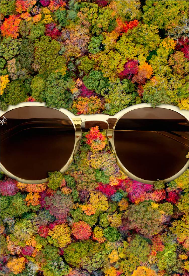 Sustainable Sunglasses