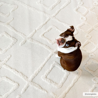 Best Rugs For Dogs: Pet Friendly Rugs And Dog Rugs