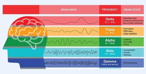 Bookhoover Gehirn EEG Frequenzen Flow