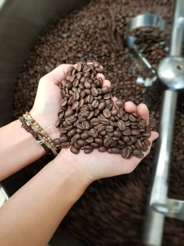 Grains de café tenus dans la main