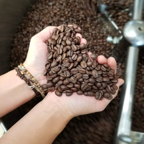 Grains de café entier tenus dans la main