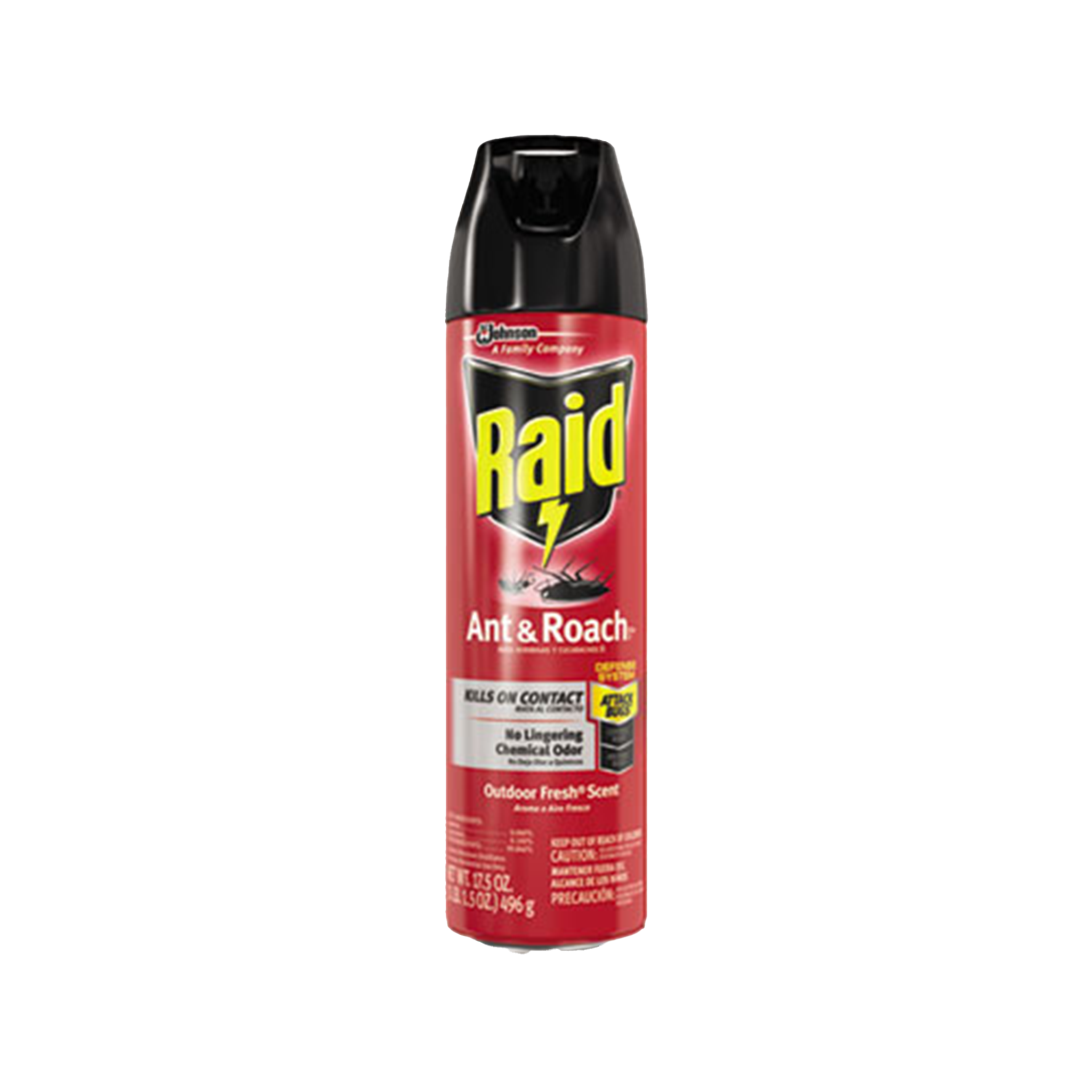 Raid Roach & Ant Spray - 17.5oz