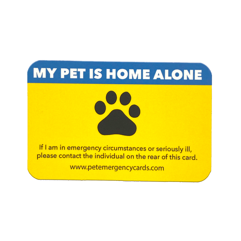 pet-emergency-cards-peace-of-mind-for-pets-their-humans