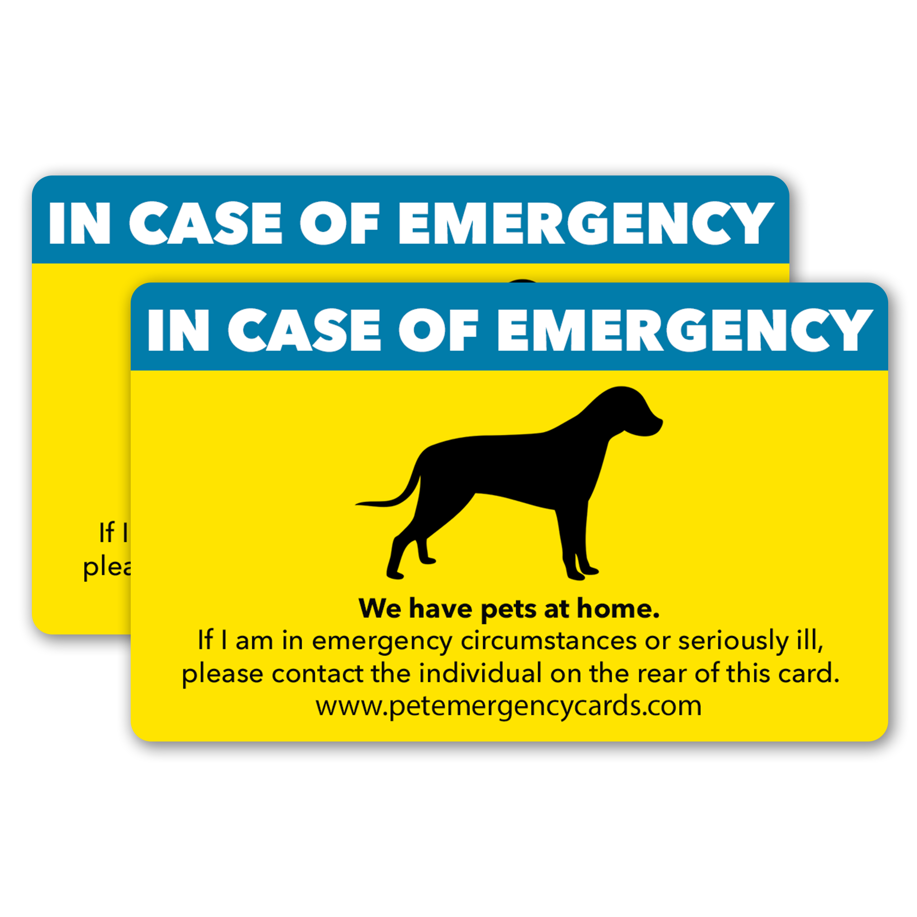 what do you do in an emergency dog