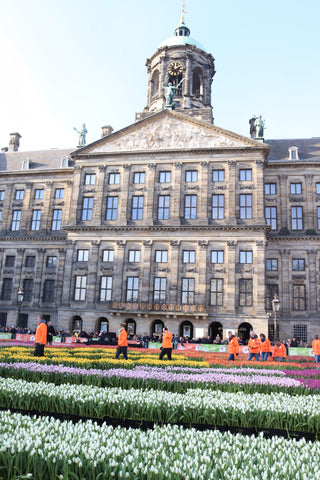 International Tulip Day in Amsterdam