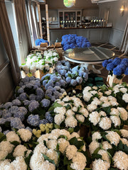 Wedding Flowers