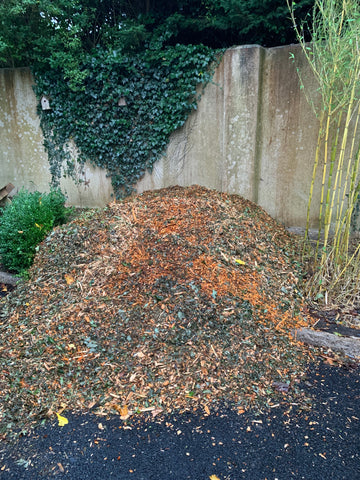 Mulch of a tree we had to cut down will go into composting.