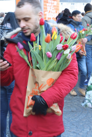 Tulips from Amsterdam