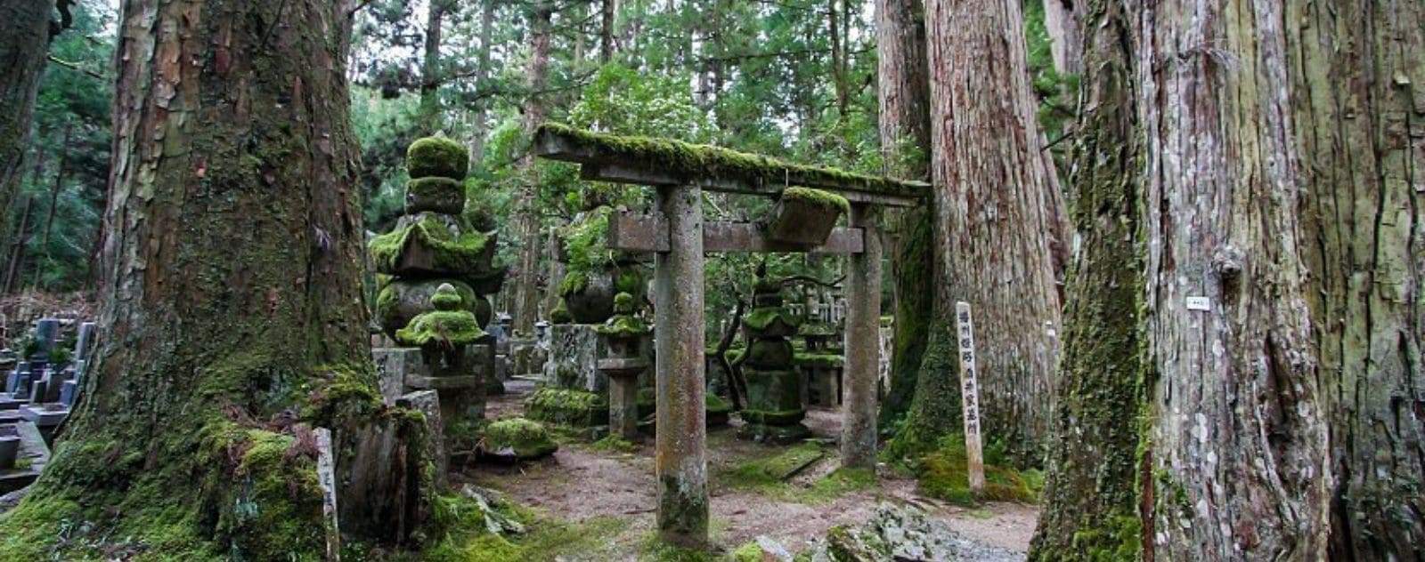 THE TEMPLE OF OKUNOIN