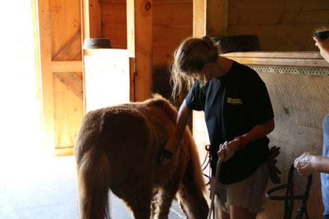 Absorbine Volunteer Days - CNEER