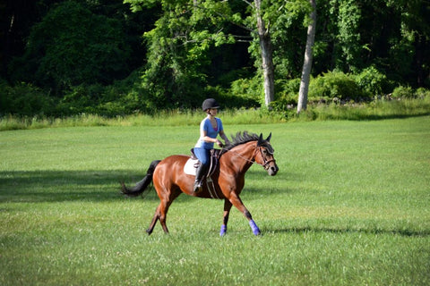 Young woman and horse in a field