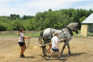 Absorbine Interviews Blue Star Equiculture