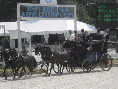 The Tucker S Johnson four-in-hand carriage at Devon. Melissa is seated back left.