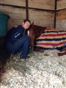 Behind the Scenes at Rolex Kentucky 2013