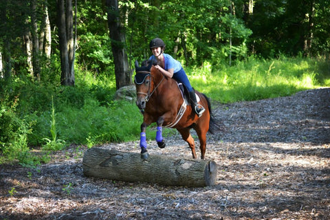 Young woman and horse jump over a log on Bute-Less Performance