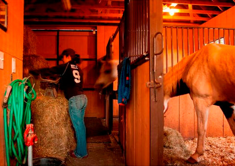UltraShield as a premise Spray woman working in barn, horse in stall