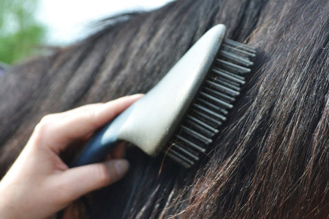 Brushing a horse's mane with a brush and ShowSheen Hair Polish & Detangler