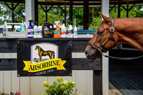 Absorbine Spotlight - Kentucky Horse Park & Funny Cide