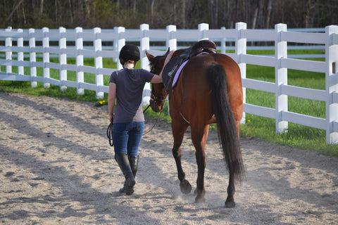 Woman and horse walking separately before using Bute-Less Performance Supplement