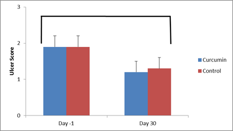 LSU Curcumin Horse Study by Bute-Less Performance Supplement