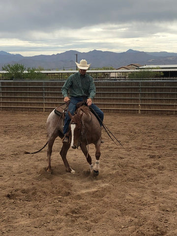 Brad Barkemeyer Team Absorbine Rider and horses
