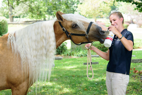 Kentucky Horse Park Absorbine Elvira