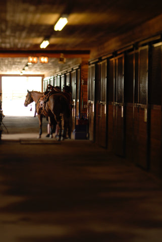 9 Fly Control Strategies for Your Barn from UltraShield