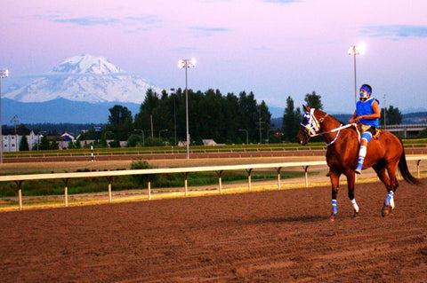 INDIAN RELAY: An Incredible Form of Horse Racing