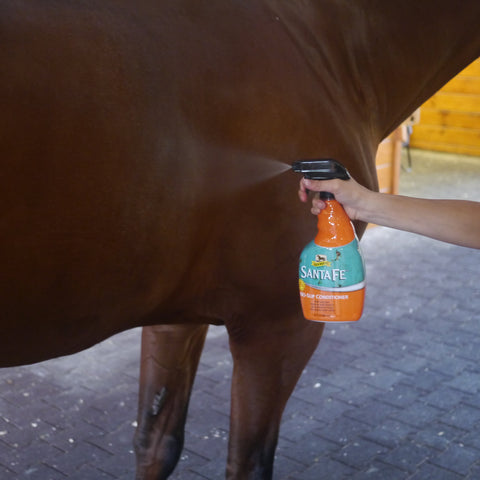 Spraying Santa Fe Coat Conditioner & Sunscreen on horse