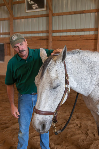 Team Absorbine Jim Masterson Method Grey Horse