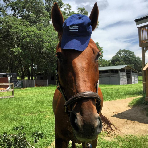 Eventer Sinead Halpin and horse "Tate" Team Absorbine