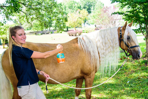 Kentucky Horse Park Absorbine Elvira