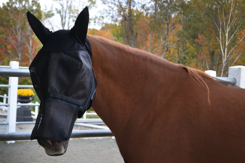 UltraShield Fly Mask For Horses on a red horse