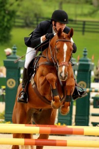 Behind the Scenes at Rolex Kentucky 2013 Absorbine Blog