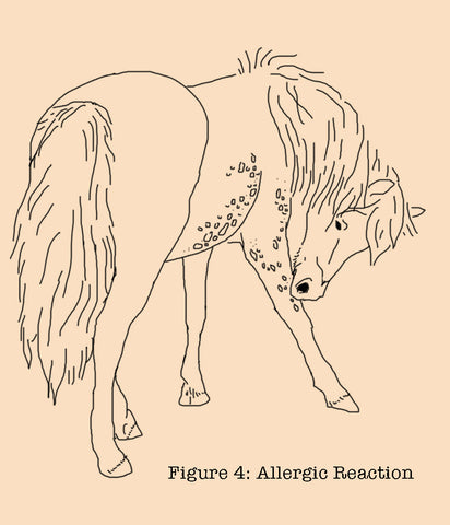 Identify, Treat & Prevent Skin Conditions on Horses