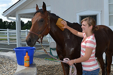Ellie agrees, nothing beats the cooling sensation of an Absorbine® Veterinary Liniment bath on a hot day!