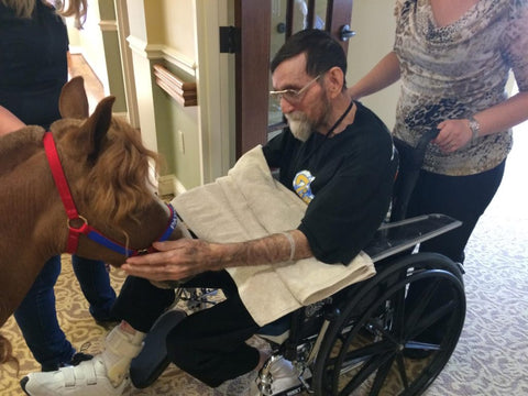 Absorbine Spotlight - Patrick The Miniature Horse Therapy