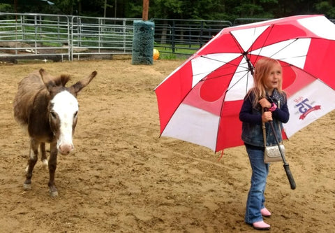 Absorbine Volunteer Days - Peaceful Valley Donkey Rescue