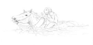 Horse swimming sketch