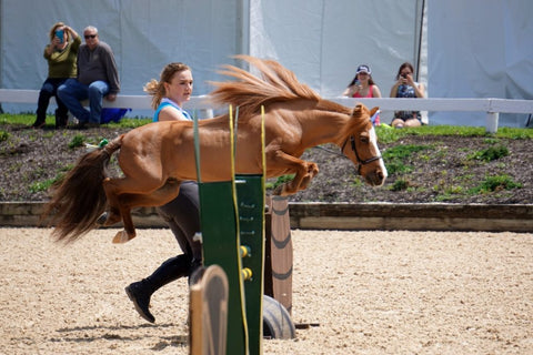 Absorbine Spotlight - Patrick The Miniature Horse Jumping