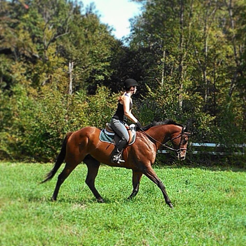 Eventing horse with female rider in field