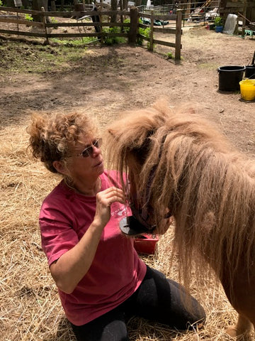 Absorbine Volunteer Days - Black Feather Rescue