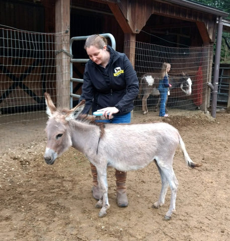 Absorbine Volunteer Days - Peaceful Valley Donkey Rescue