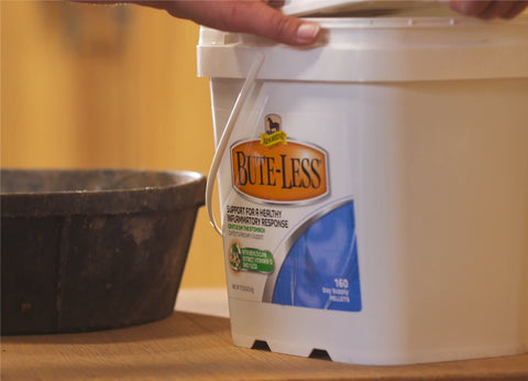 close-up of a bucket of Bute-Less Recovery Supplement for horses