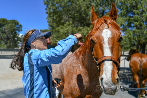 Trainer Julie Goodnight grooming her horse