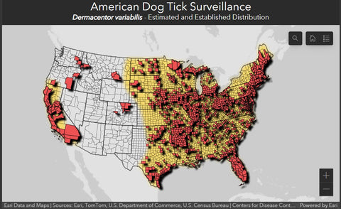 Map of USA with dog tick occurrence