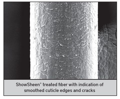 Scanning Electron Microscope image of horse hair after showsheen